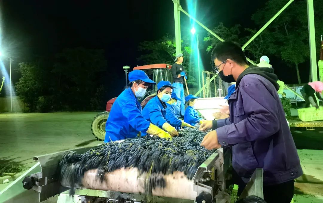 微信图片_20220927150027.jpg 微信图片_20220927150027.jpg